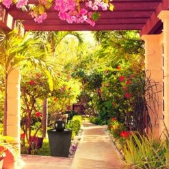 Königsbrunn Springbrunnen Solar 200 L/h LED Akku Basaltoptik -Wrights Gartenladen 10029040 yy 0004 ambient Blumfeldt Koenigsbrunn Solar Springbrunnen reedit