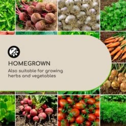 Solid Grow Rust Pflanzgefäß 80 X 38 X 38 Cm Fibreclay Rostfarben -Wrights Gartenladen 10034788 yy 0003 logo Blumfeldt Solid Grow Rust Pflanzgefaess 80x38x38cm