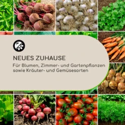 Winegrow Pflanzgefäß 52,5 X 31,5 Cm (ØxH) Leicht Fibreclay Grau -Wrights Gartenladen 10034811 de 0003 logo