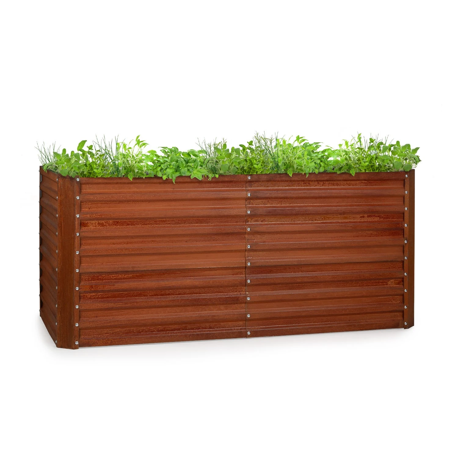 Rust Grow Hochbeet Gartenbeet Verzinktes Stahlblech Rost-Finish 1 Rust Grow Hochbeet Gartenbeet Verzinktes Stahlblech Rost-Finish