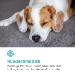 Finn Hundebett Waschbar Rutschfest Atmungsaktiv PE / Vlies Größe S -Wrights Gartenladen 10037524 de 0003 logo