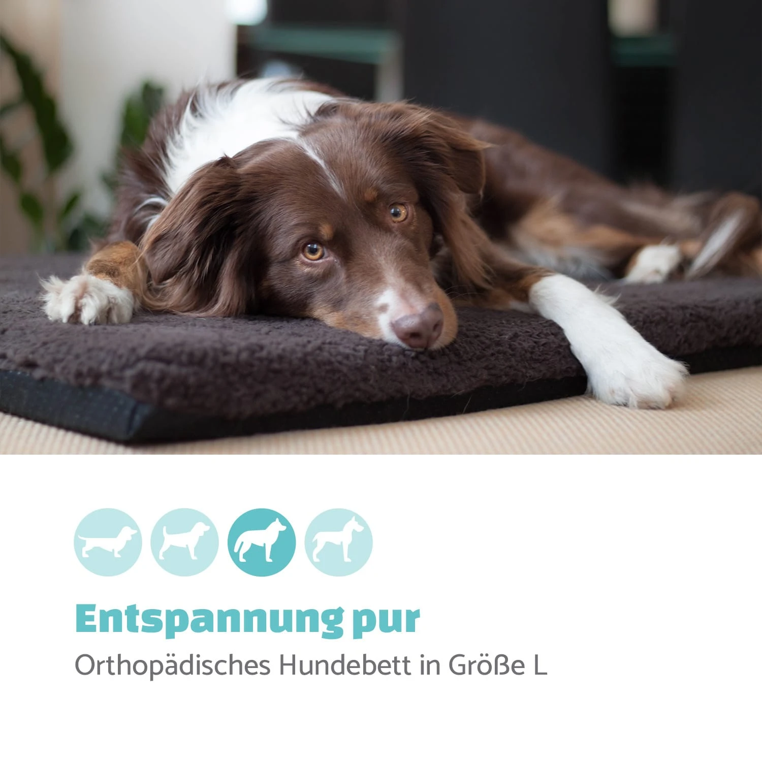 Luna Hundebett Waschbar Orthopädisch Rutschfest Memory-Schaum Größe L 2 Luna Hundebett Waschbar Orthopädisch Rutschfest Memory-Schaum Größe L – Bild 2