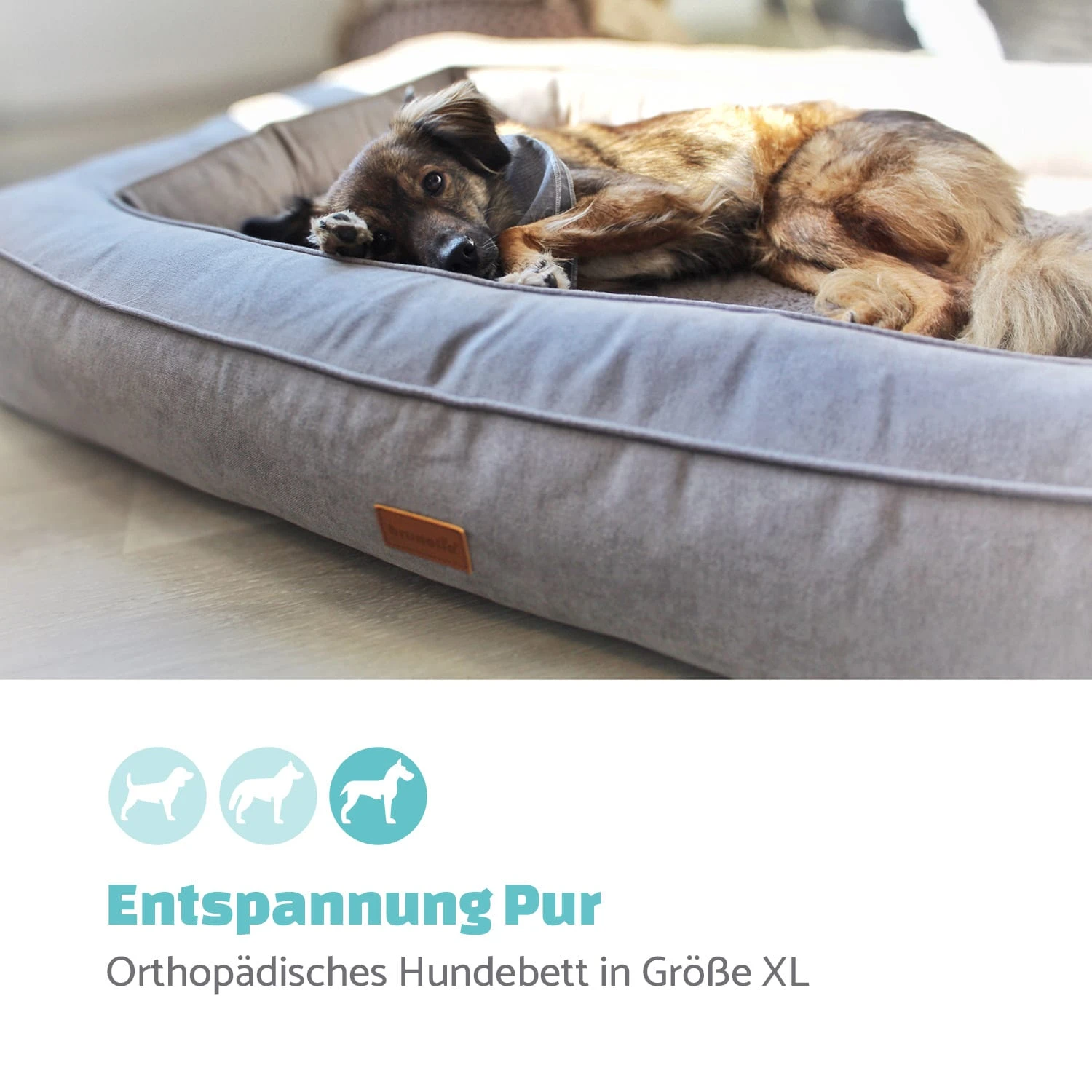 Bruno Hundebett Hundekorb | Waschbar | Orthopädisch | Rutschfest | Atmungsaktiv | Memory-Schaum | Größe XL (120 X 17 X 85 Cm) 2 Bruno Hundebett Hundekorb | Waschbar | Orthopädisch | Rutschfest | Atmungsaktiv | Memory-Schaum | Größe XL (120 X 17 X 85 Cm) – Bild 2