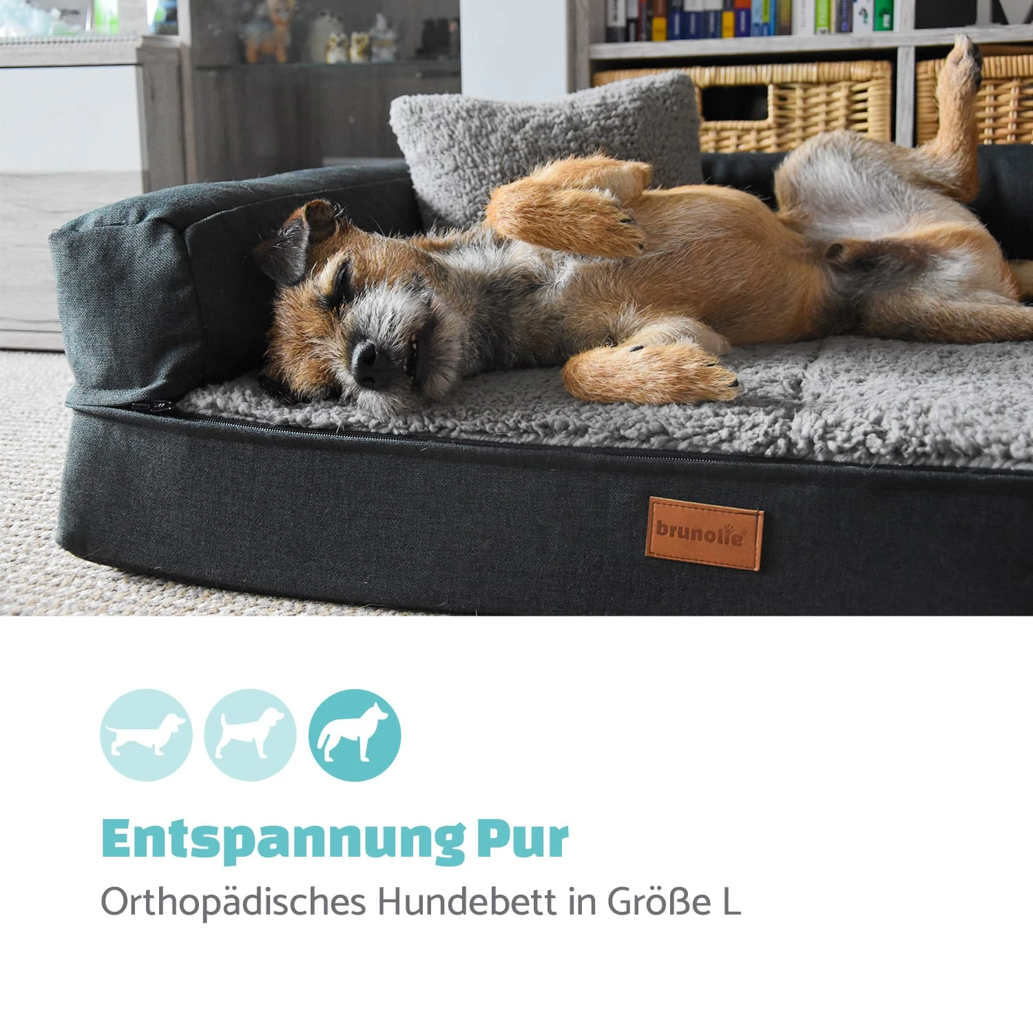 Odin Hundesofa Hundematte | Waschbar | Orthopädisch | Rutschfest | Atmungsaktiv | Memory-Schaum | Größe L (120 × 12 × 80 Cm) 2 Odin Hundesofa Hundematte | Waschbar | Orthopädisch | Rutschfest | Atmungsaktiv | Memory-Schaum | Größe L (120 × 12 × 80 Cm) – Bild 2