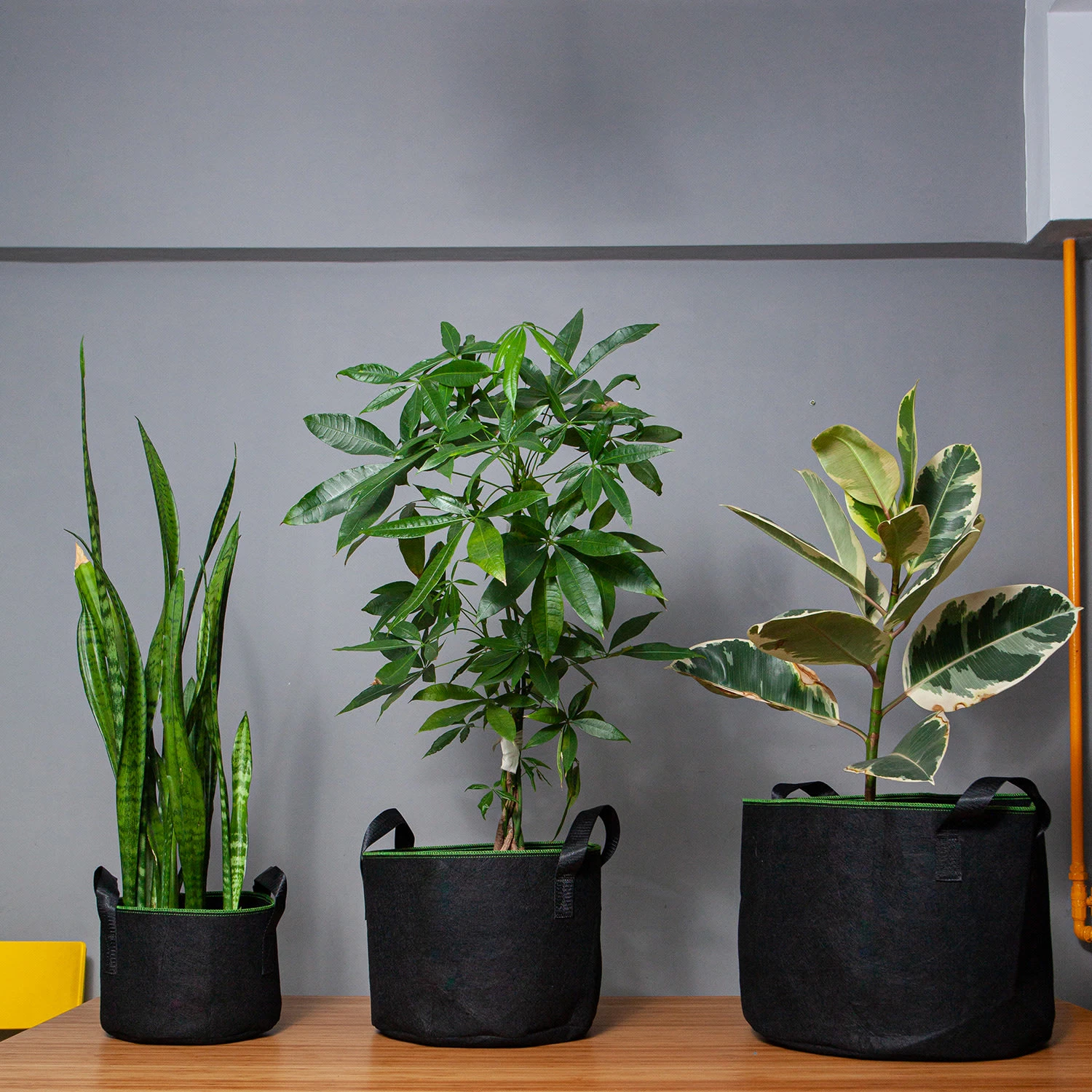 Pflanzsack Set 5 Stück 20 Liter Vlies Mit Henkeln 2 Pflanzsack Set 5 Stück 20 Liter Vlies Mit Henkeln – Bild 2