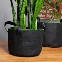 Pflanzsack Set 5 Stück 20 Liter Vlies Mit Henkeln 8 Pflanzsack Set 5 Stück 20 Liter Vlies Mit Henkeln -Wrights Gartenladen 10038010 yy 0004 logo