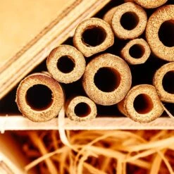 Bambusröhrchen 70 Stück Je 15 Cm Länge Holzfarben -Wrights Gartenladen 10038148 yy 0006 logo