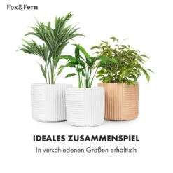 Hasselt Blumentopf Polystone Pflanzenfreundlich Handgemacht 3D-Optik -Wrights Gartenladen 10038548 de 0006 usp