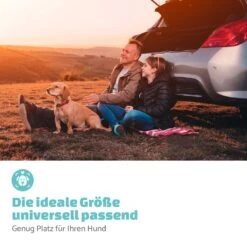 Rocky Hundeautositz Polyester Anschnallgurt Faltbar Flexibel 13 Rocky Hundeautositz Polyester Anschnallgurt Faltbar Flexibel -Wrights Gartenladen 10039048 de 0006 logo